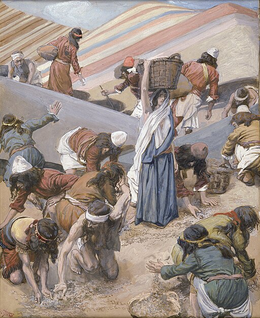 Exodus 16:1-36, The Gathering of the Manna