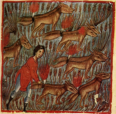 Samson, foxes, and firebrands