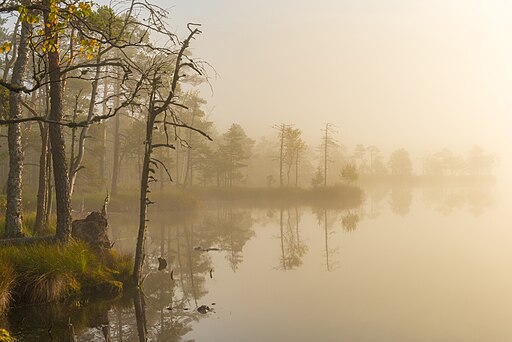 God created the heaven and earth