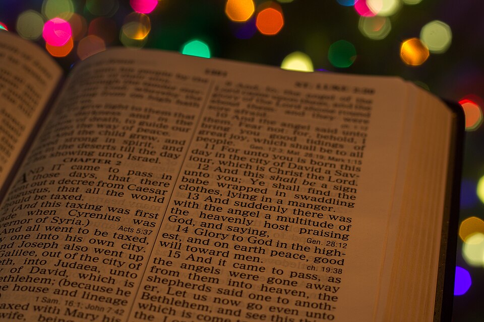 The Newborn Believer and the Bible